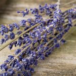 05experts-all-natural-lavender