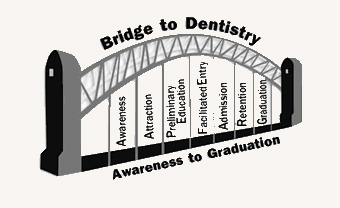 Bridge to Dentistry illustration