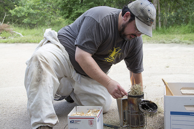 Kavanagh preps the smoker with wood chips prior to tending the hive.