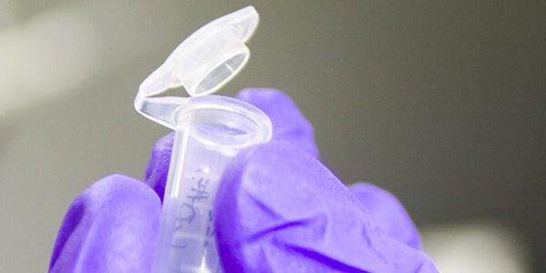 A gloved hands uses tweezers to put research material into a test tube.