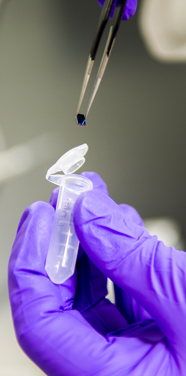 A gloved hands uses tweezers to put research material into a test tube.
