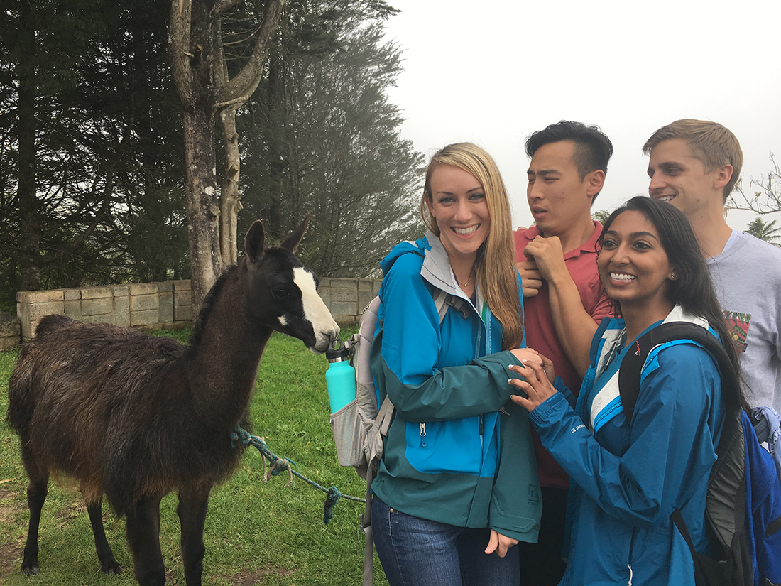 Four students stand, smiling, near a llama 