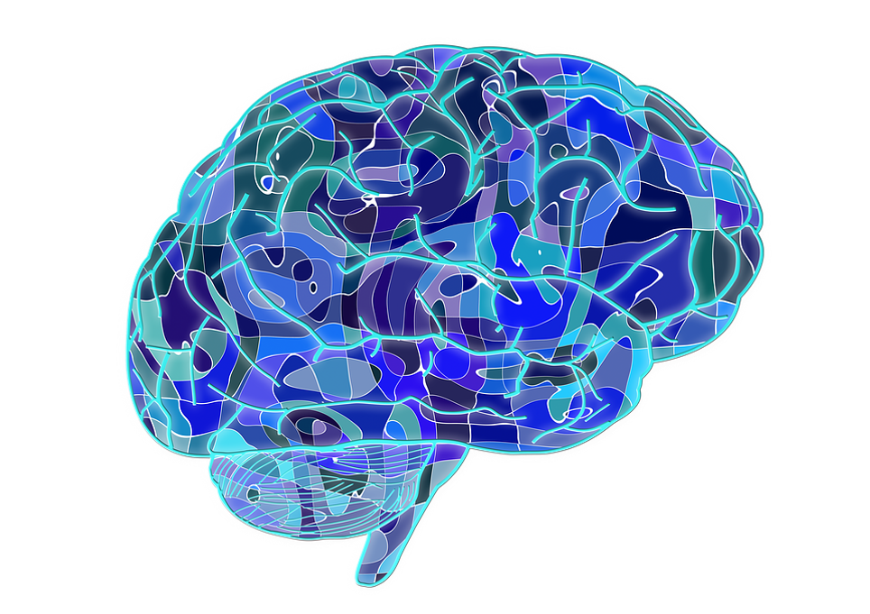 Illustration of a brain