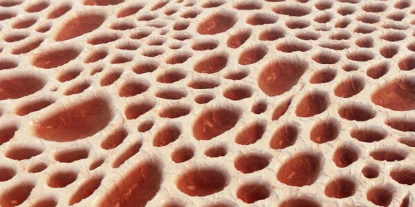 Bone interior structure. Close-up of spongy bone and red bone marrow.