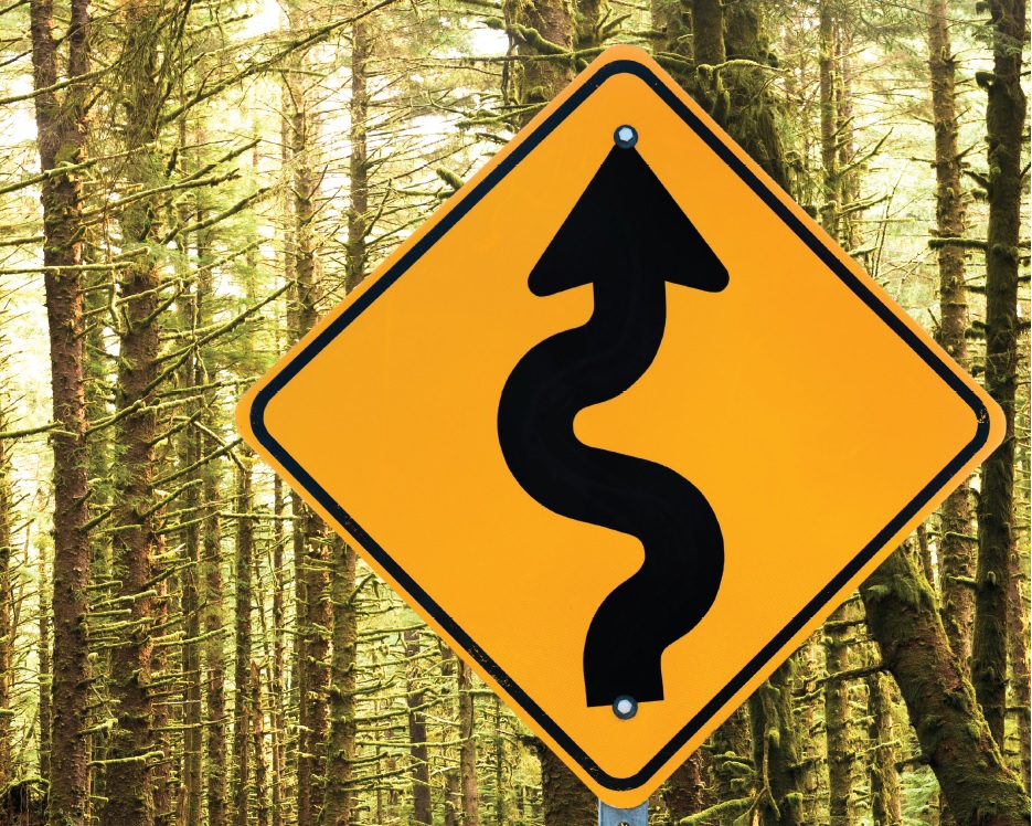 Road sign in the woods