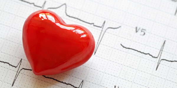 Cardiogram pulse trace and heart concept for cardiovascular medical exam