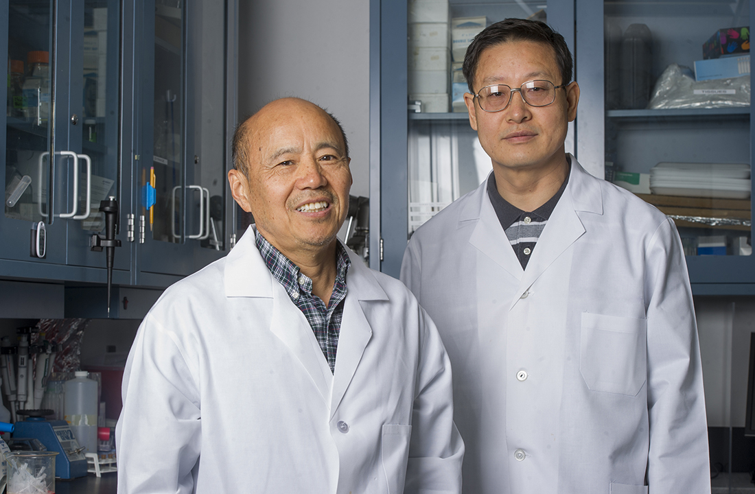 Presidential Impact Fellows Dr. Jerry Feng and Dr. Chunlin Qin