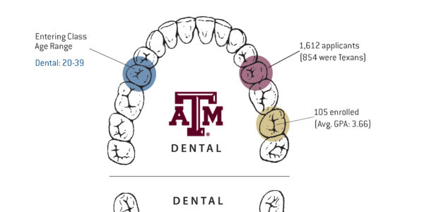 Infographic: Breakdown of applicants to Texas A&M College of Dentistry for academic year 2016-2017