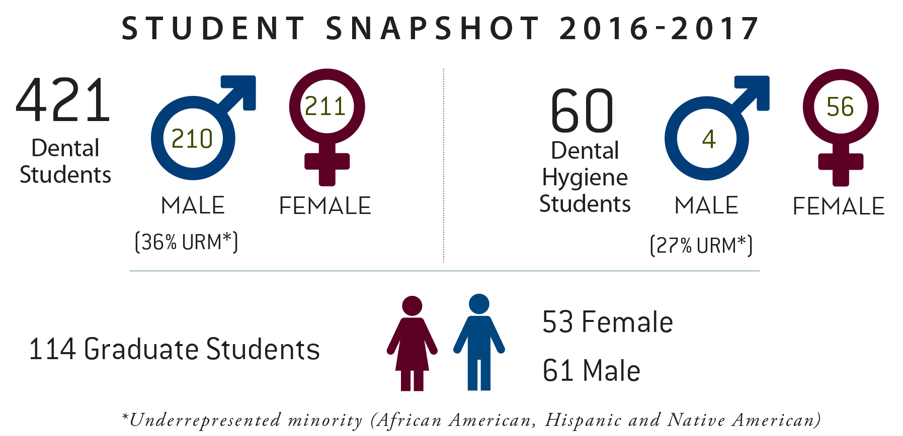 Infographic: Breakdown of students at Texas A&M College of Dentistry for 2016-2017 academic year