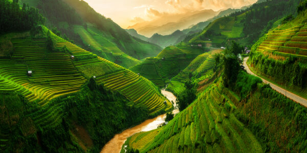 Rice terrace field near Sapa in Vietnam