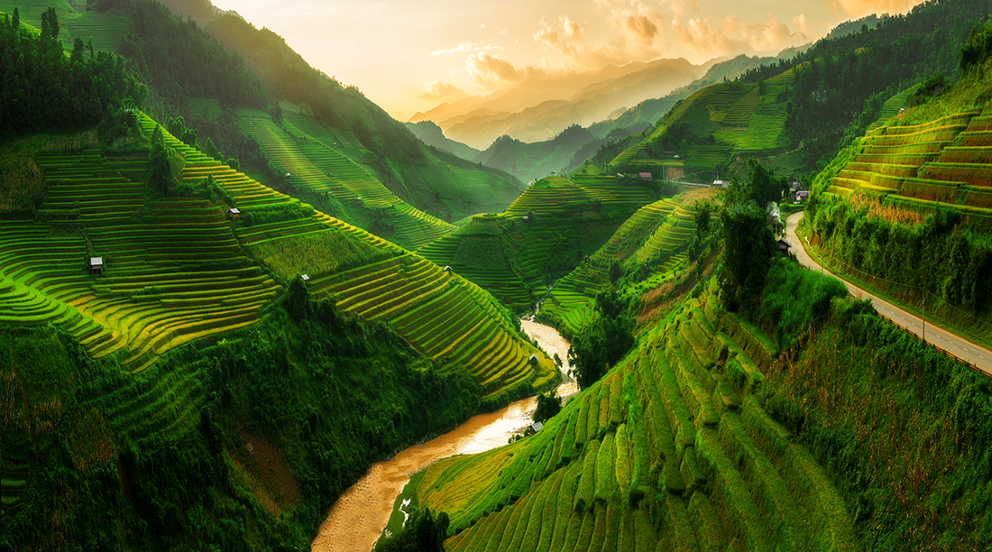 Rice terrace field near Sapa in Vietnam