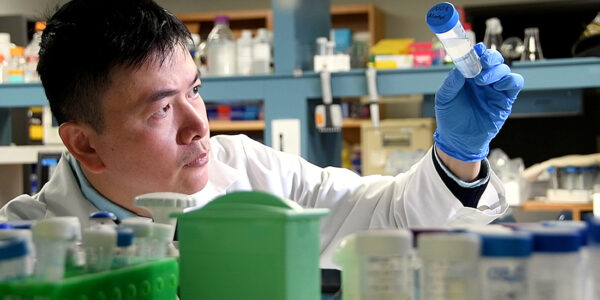 Dr. Hu Zhao in his lab at Texas A&M College of Dentistry
