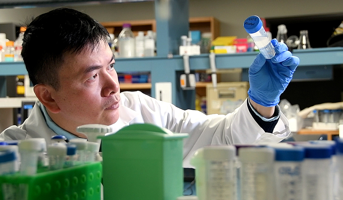 Dr. Hu Zhao in his lab at Texas A&M College of Dentistry