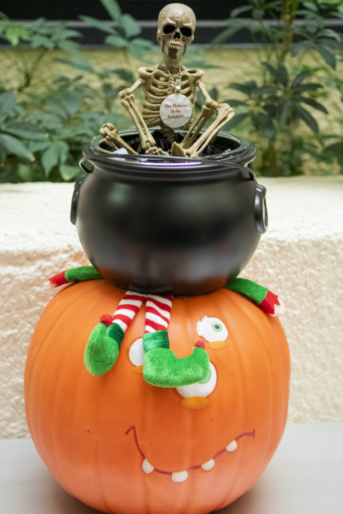 Pumpkin carved, with cauldron on top full of jello, and a skeleton